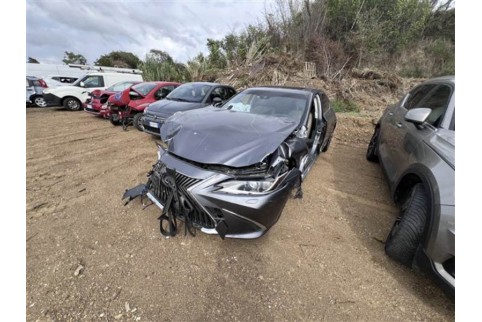 2020 Lexus ES 300h, Benzinas / Elektra