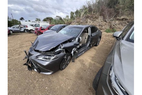 2020 Lexus ES 300h, Benzinas / Elektra