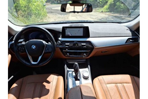 2019 BMW 520, Dyzelinas