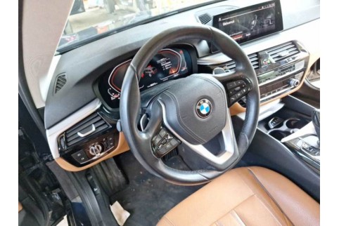 2019 BMW 520, Dyzelinas