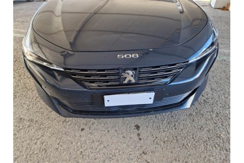 2020 Peugeot 508, Dyzelinas