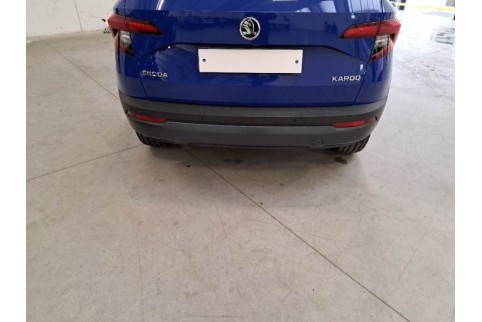 2019 Skoda Karoq, Dyzelinas