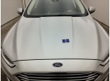 2021 Ford Mondeo, Dyzelinas