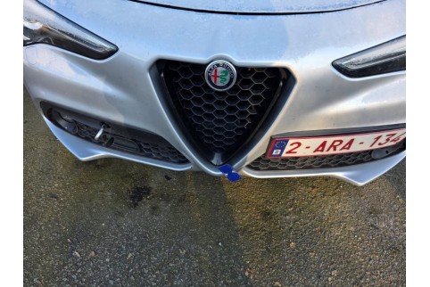 2021 Alfa Romeo Stelvio, Dyzelinas