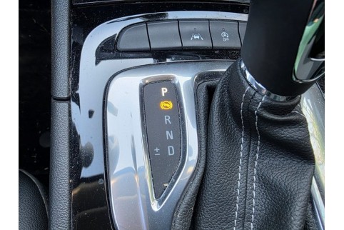 2021 Opel Insignia, Dyzelinas