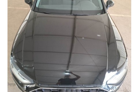 2021 Audi A4, Dyzelinas