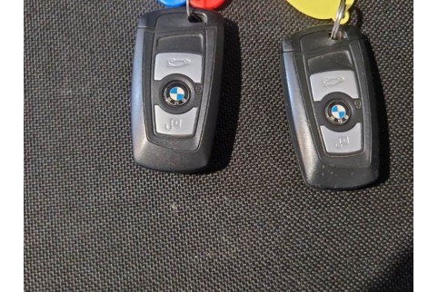 2019 BMW 320, Dyzelinas