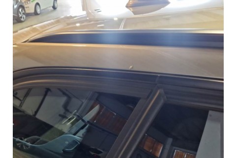 2019 BMW 320, Dyzelinas