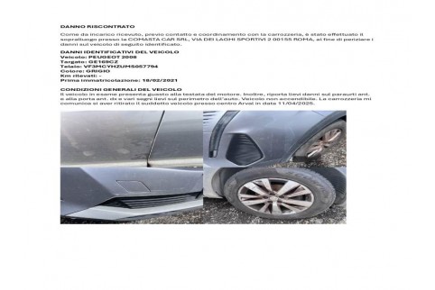 2021 Peugeot 3008, Dyzelinas