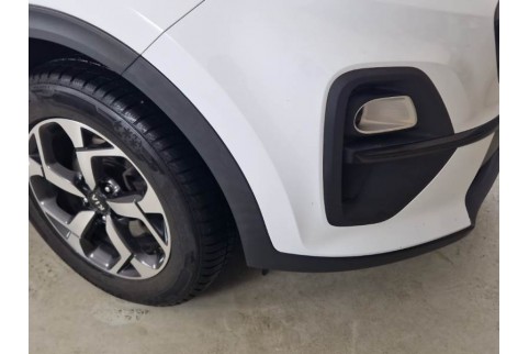 2021 Kia Sportage, Dyzelinas