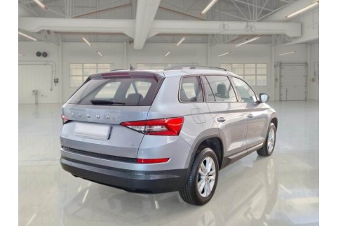 2020 Skoda Kodiaq, Dyzelinas