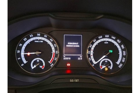 2020 Skoda Kodiaq, Dyzelinas