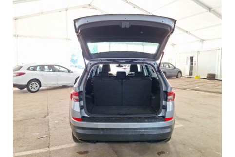 2020 Skoda Kodiaq, Dyzelinas