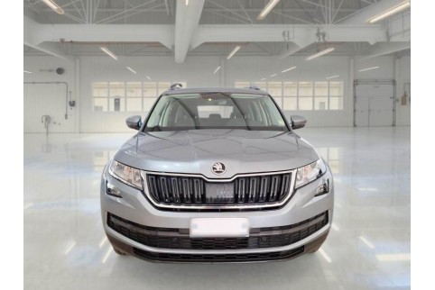 2020 Skoda Kodiaq, Dyzelinas