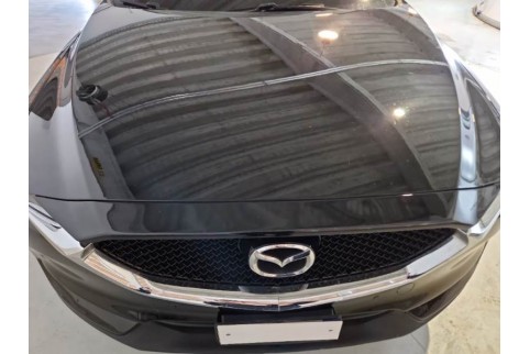 2019 Mazda CX-5, Dyzelinas