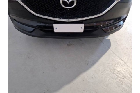 2019 Mazda CX-5, Dyzelinas