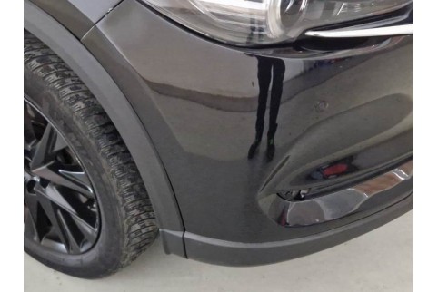 2019 Mazda CX-5, Dyzelinas