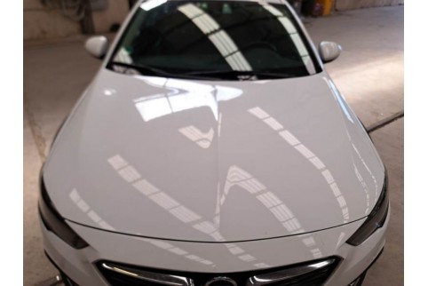 2019 Opel Insignia, Dyzelinas