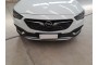 2019 Opel Insignia, Dyzelinas