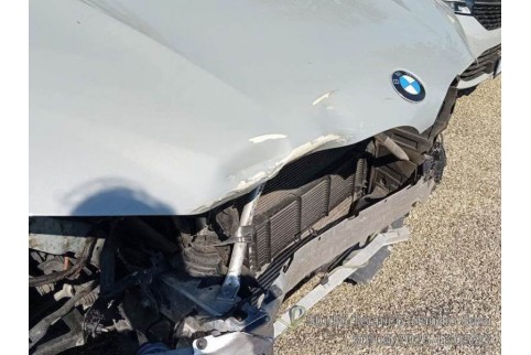 2023 BMW X4, Dyzelinas