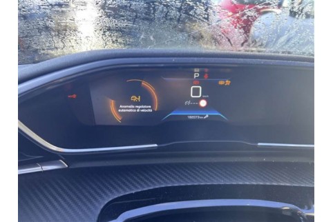 2022 Peugeot 508, Dyzelinas