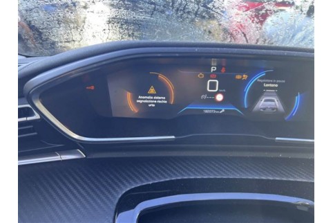 2022 Peugeot 508, Dyzelinas