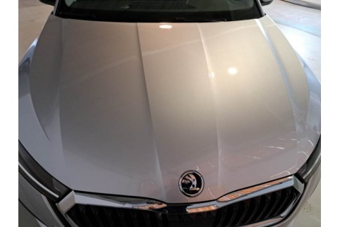 2021 Skoda Octavia, Dyzelinas