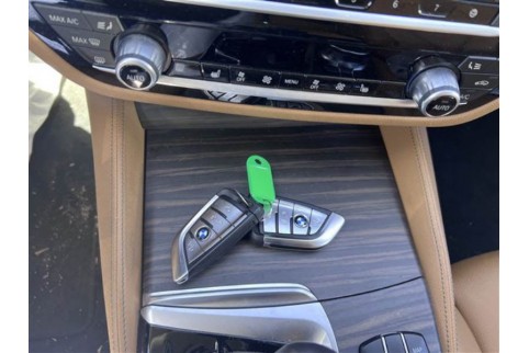 2023 BMW 520, Dyzelinas