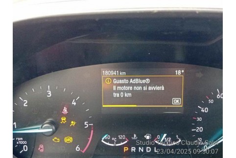 2021 Ford Focus, Dyzelinas