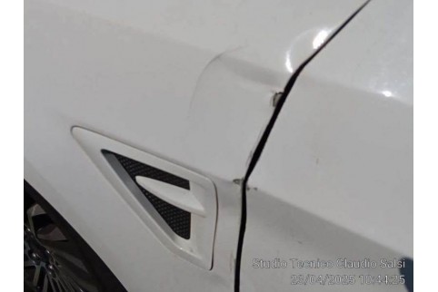 2021 Ford S-Max, Dyzelinas