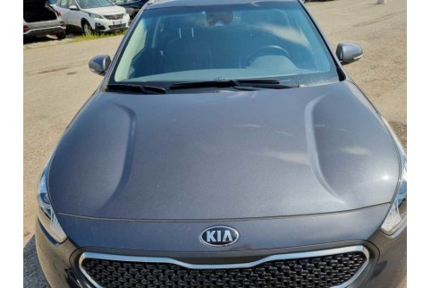 2019 Kia Niro, Benzinas / Elektra
