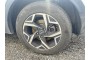 2022 Kia Sportage, Dyzelinas
