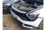 2023 Kia Sportage, Dyzelinas