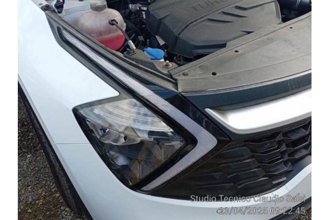 2023 Kia Sportage, Dyzelinas