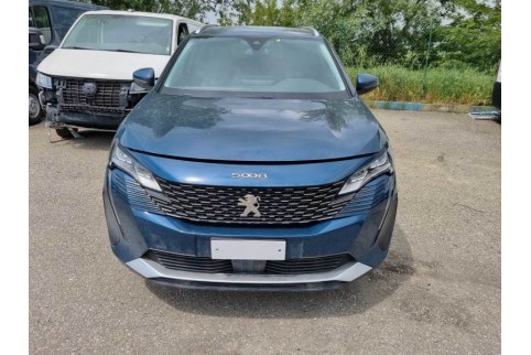 2021 Peugeot 5008, Dyzelinas