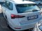 2023 Skoda Octavia, Dyzelinas
