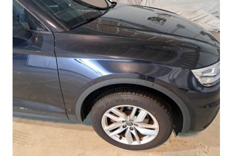 2019 Audi Q5, Dyzelinas