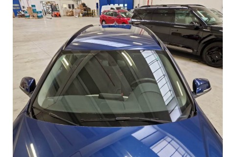 2019 BMW 316, Dyzelinas