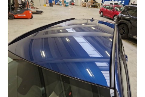 2019 BMW 316, Dyzelinas