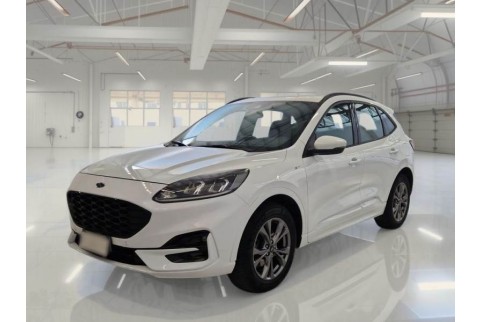 2021 Ford Kuga, Dyzelinas