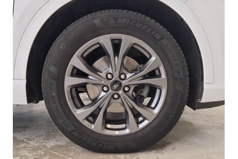 2021 Ford Kuga, Dyzelinas