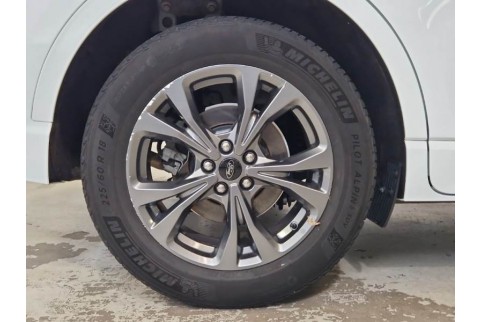2021 Ford Kuga, Dyzelinas