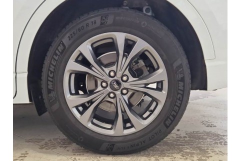 2021 Ford Kuga, Dyzelinas