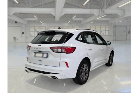 2021 Ford Kuga, Dyzelinas