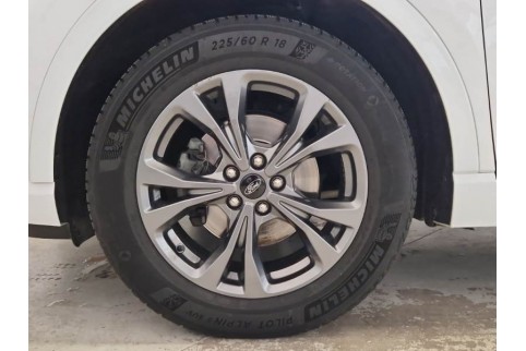 2021 Ford Kuga, Dyzelinas