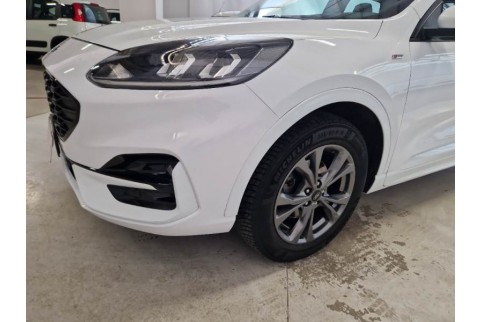 2021 Ford Kuga, Dyzelinas