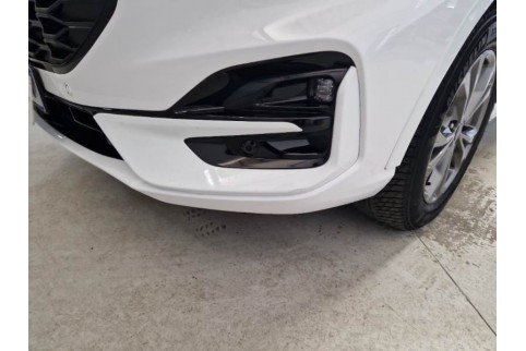 2021 Ford Kuga, Dyzelinas