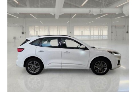 2021 Ford Kuga, Dyzelinas