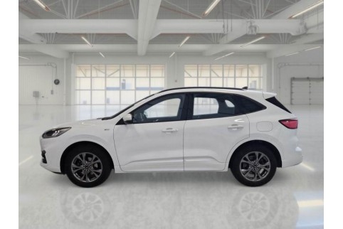 2021 Ford Kuga, Dyzelinas