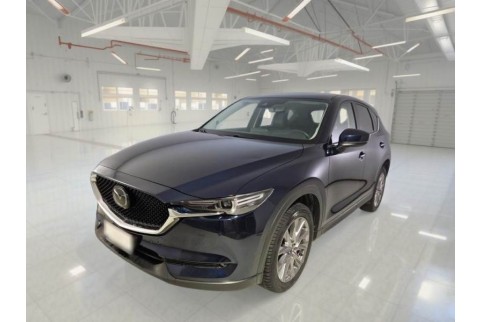 2019 Mazda CX-5, Dyzelinas